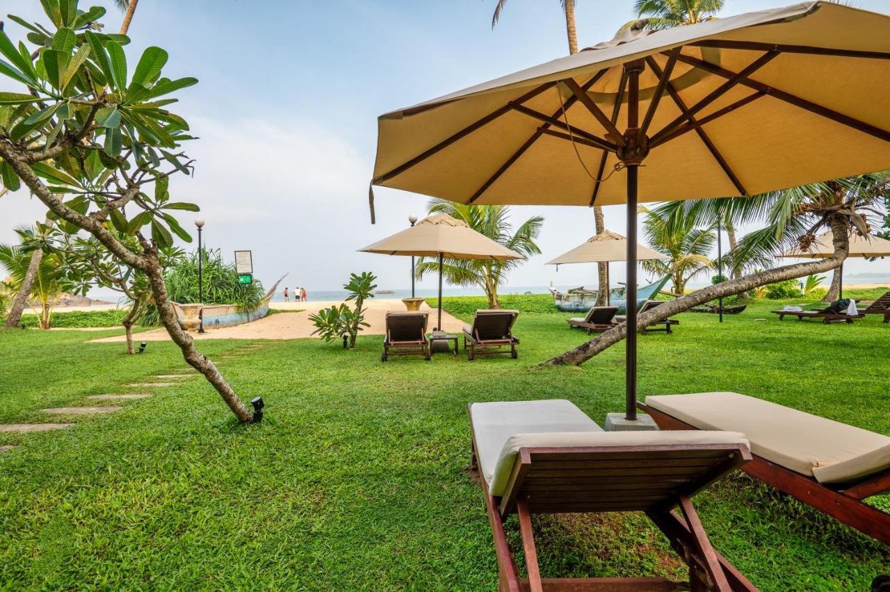 Shinagawa Beach Balapitiya Kültér fotó